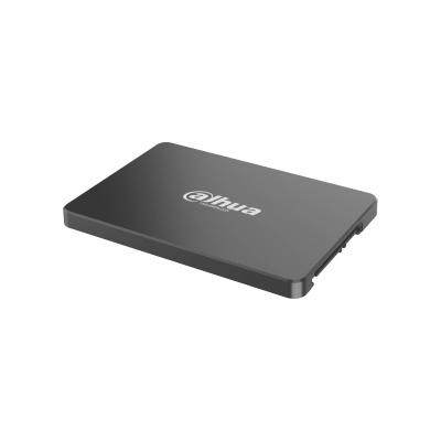 DHI-SSD-C800AS256G