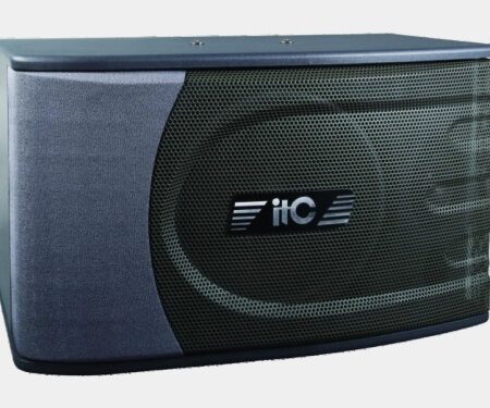 Enceinte professionnelle ITC TS-29B, enceinte professionnelle ITC TS-29B